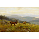 РЕПРОДУКЦИИ НА КАРТИНИ Елен на горска поляна (1895)